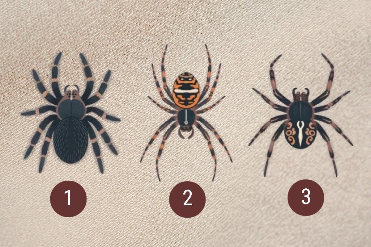 Elige una de las arañas en esta imagen para descubrir si serás una persona exitosa. (Imagen: El Comercio/Mag)