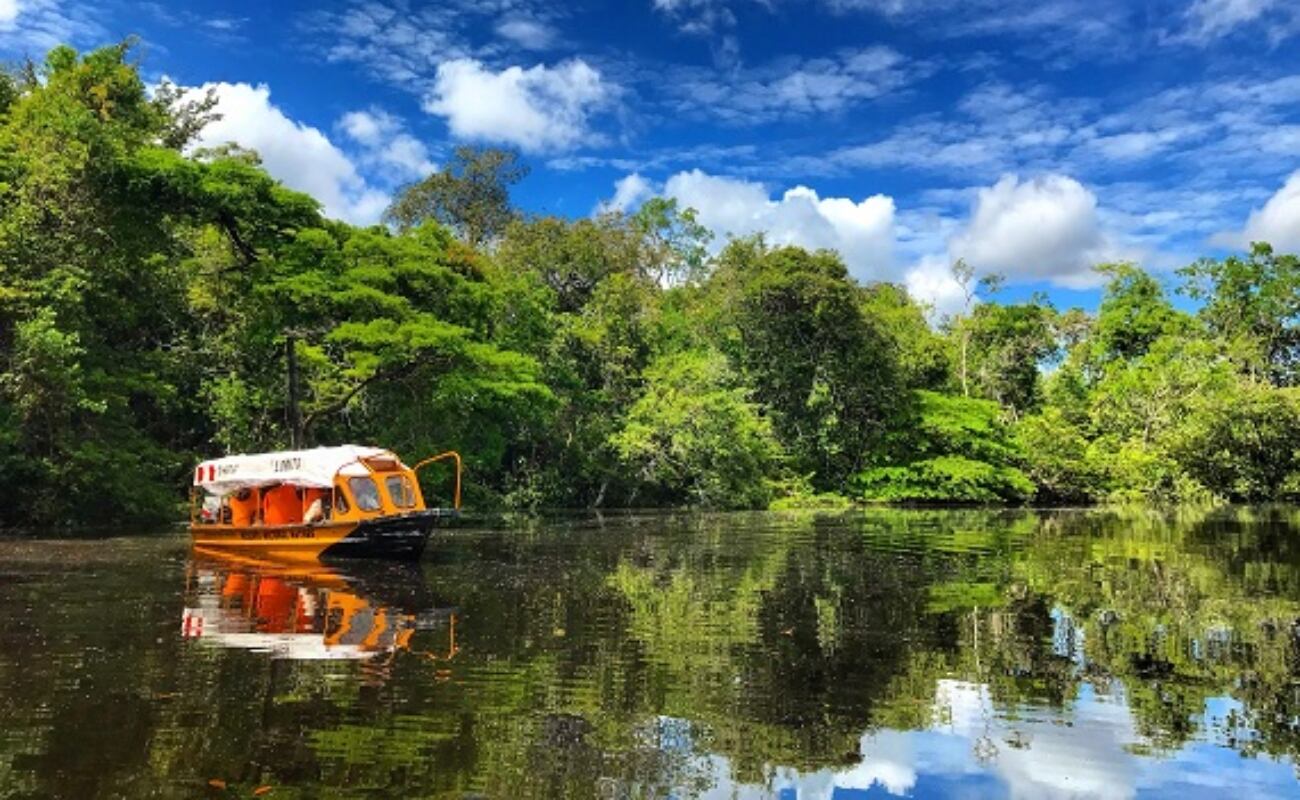 El Congreso de la República aprobó un dictamen que declara el 11 de noviembre como un día no laborable en conmemoración del Día Nacional de las Áreas de Conservación Privada.