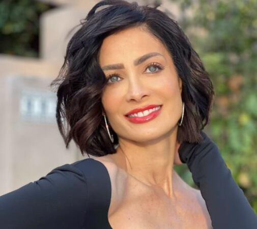 La célebre Dayanara Torres fue criticada por distintos internautas de haberse copiado el look de otra Miss Universo (Foto: Dayanara Torres / Instagram)