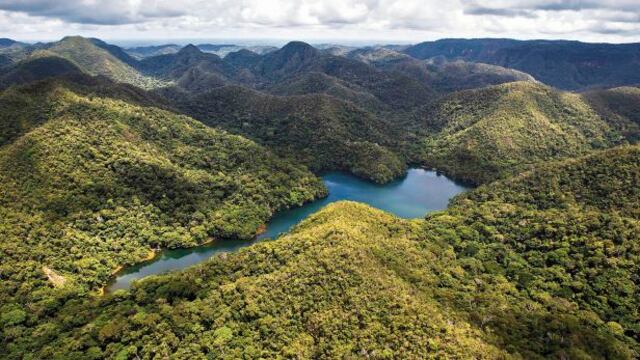 Sierra del Divisor: publican decreto que crea parque nacional
