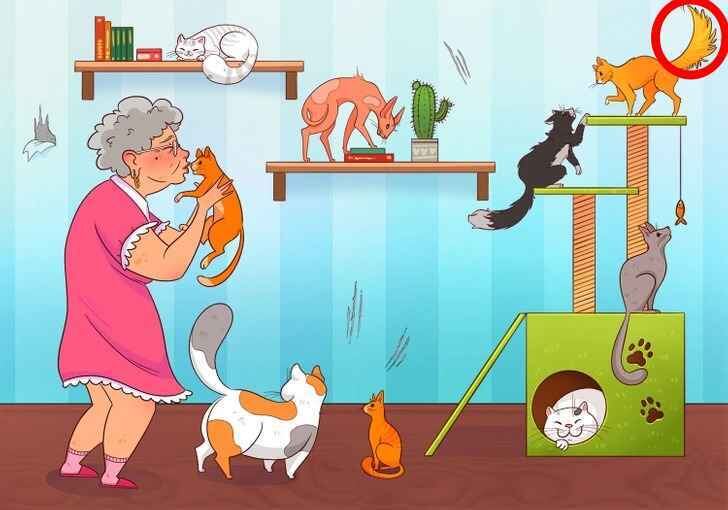 RETO VISUAL | El error en la imagen es que uno de los gatos tiene cola de perro.