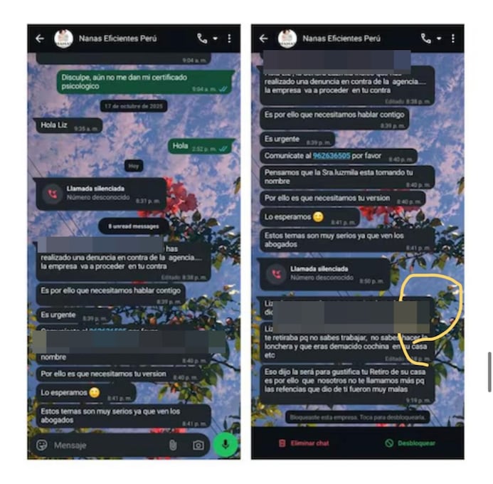 Capturas de los mensajes que, según Liz, recibió de Nanas Eficientes Perú después de que El Comercio solicitara los descargos de la empresa. La trabajadora afirma que, tras varios meses sin contacto, fue advertida sobre una eventual acción legal y se le indicó que Carmen la habría señalado como responsable de la denuncia. (Imagen: Difusión WhatsApp).