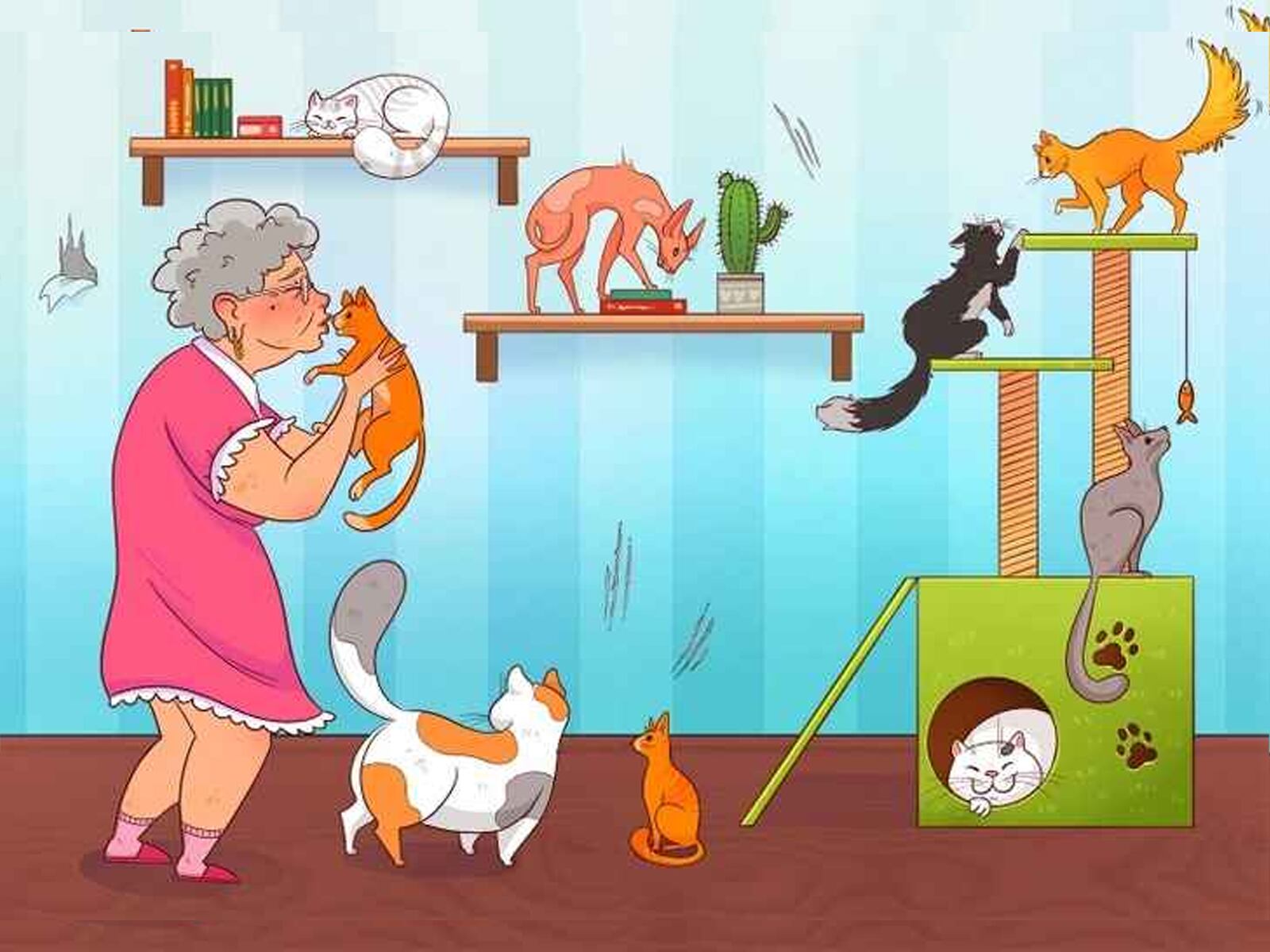 RETO VISUAL | Solo las mentes muy inteligentes pueden encontrar el error en la imagen en 5 segundos. | Brightside