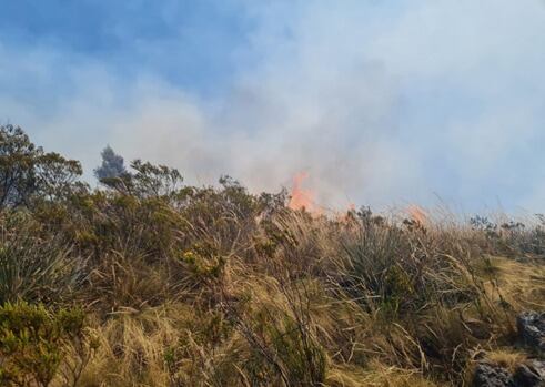 En tanto, Ministerio de Defensa dispuso el desplazamiento de 30 soldados del Ejército del Perú desde la ciudad del Cusco para los trabajos de control y extinción del fuego. Foto: GEC/referencial