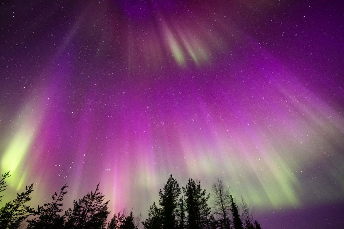 Imagen tomada a finales del 23 de marzo de 2023 muestra coloridas auroras boreales que aparecen alrededor del Círculo Polar Ártico cerca de Rovaniemi, Finlandia (Foto: Alexander Kuznetsov / All About Lapland / AFP)