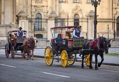 MML planea gastar S/13 millones en carruajes a caballo para “reorganizar el transporte público” en el Centro Histórico