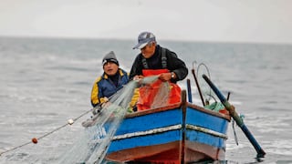 Pescadores convocan a paro para el jueves 10 de octubre: “Pesca de pota en emergencia”