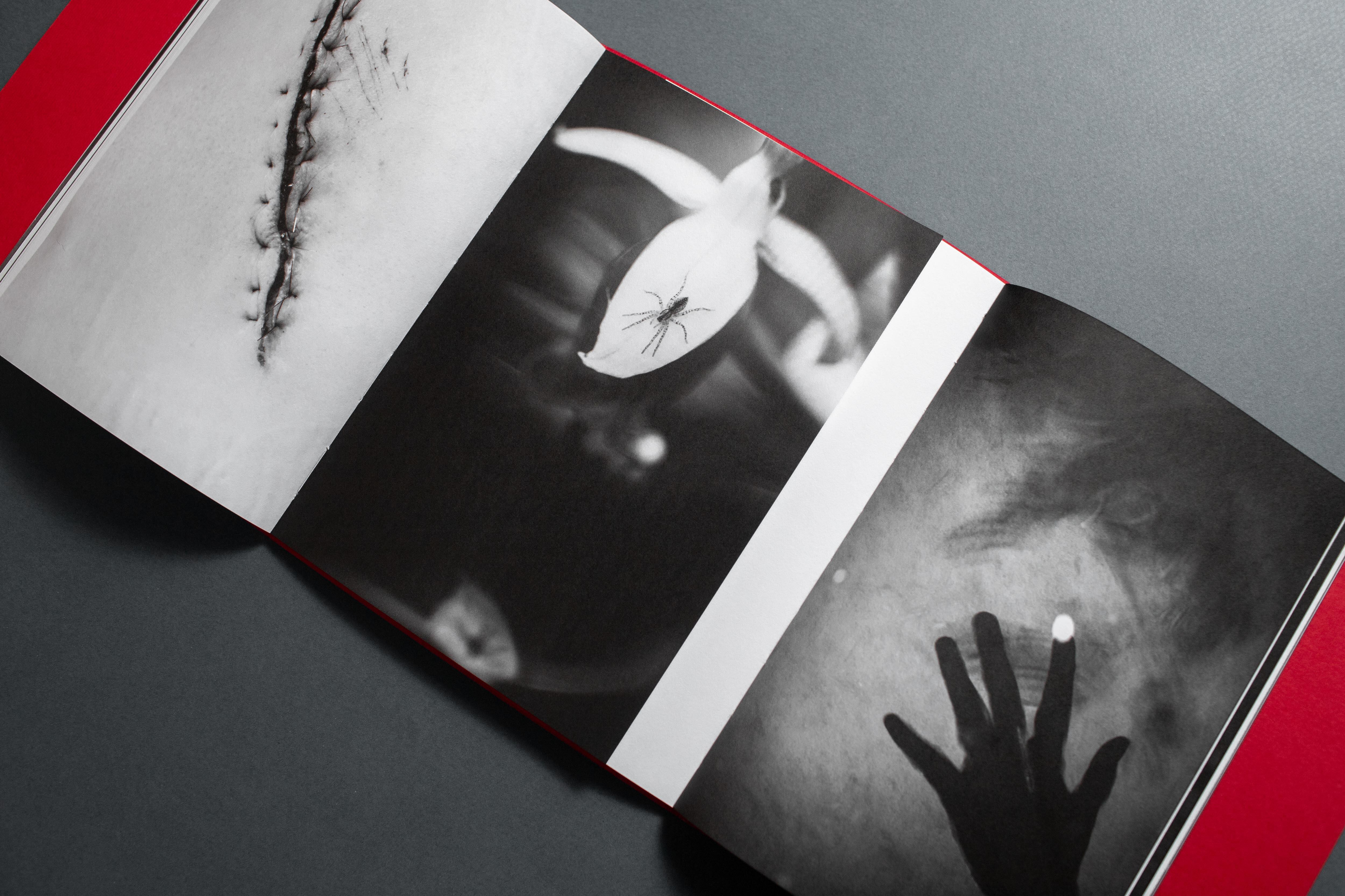 El libro está basado en las fotos de archivo de Del Castillo y poemas seleccionados por Víctor Vich