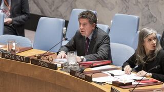 El Perú presidirá el Consejo de Seguridad de la ONU durante julio