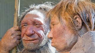 Nuevo hallazgo reafirma que el neandertal y el hombre moderno eran muy similares