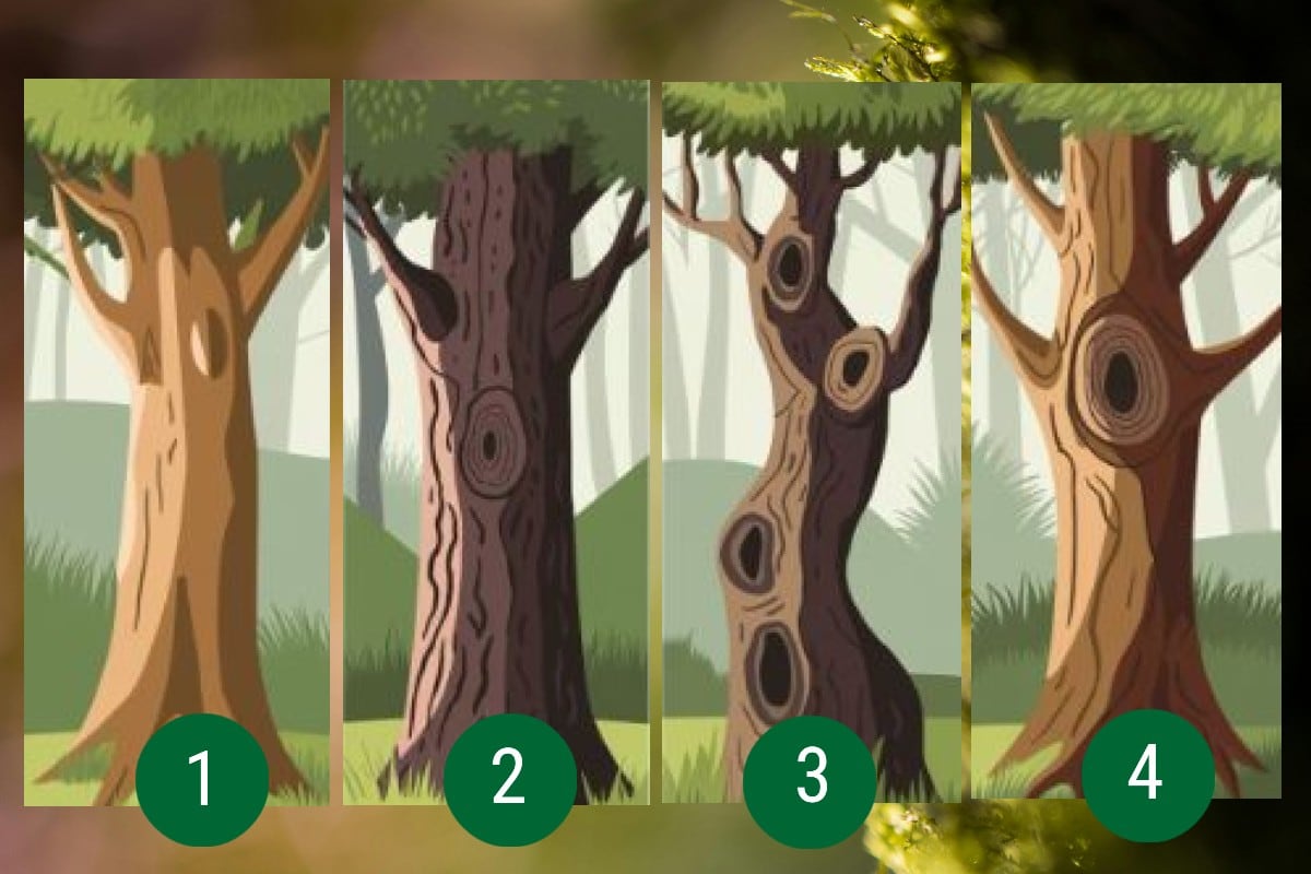 Escoge uno de los troncos en esta imagen para conocer si eres una persona conflictiva. (Imagen: El Comercio/Mag)