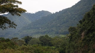 Peruanos que Suman: es hora de entrar a la selva #Día8