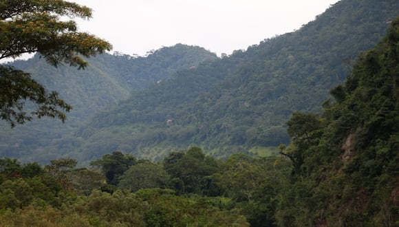 La Merced marca el ingreso hacia la selva central del Perú.