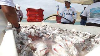 BCR: Exportaciones pesqueras no tradicionales crecieron 22% en julio