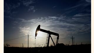 AIE: demanda mundial de petróleo alcanzará este año un récord de 102,2 mbd