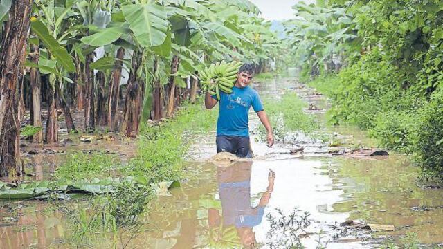 Vulnerabilidad climática: ¿qué aliados tiene el Perú?
