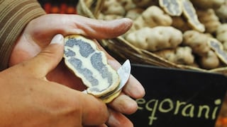 FAO denunció desperdicio anual de 1.300 millones de toneladas de alimentos