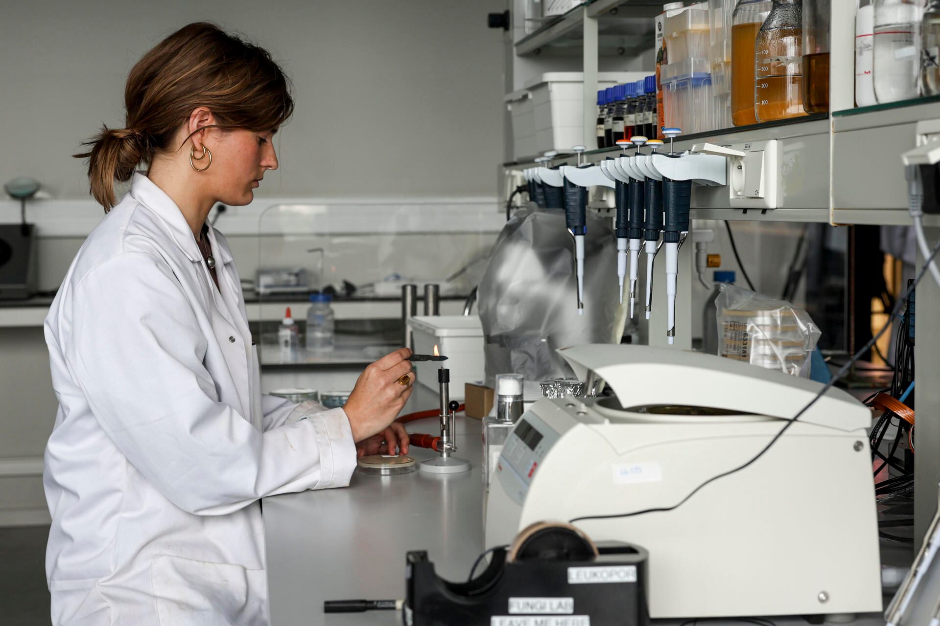 La investigadora de la Universidad Flamenca de Bruselas, la ingeniera en biología y bioquímica Anouk Verstuyft, trabaja con muestras de champiñones en el laboratorio. El misterioso reino fungi está de moda, un campo en desarrollo es el de los biomateriales, porque los hongos también intentan hacerse hueco en la fabricación de muebles, ropa vegana y como sustitutos del poliestireno expandido, ese corcho blanco de los paquetes frágiles que no se recicla y precisa 500 años para degradarse. EFE/ Pablo Garrigós