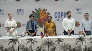 Estos son los temas clave que se discutirán en la COP 16 de Biodiversidad en Cali