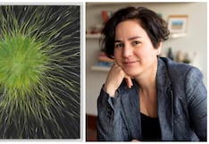 Una hormiga camina hacia el espacio sideral: así es la nueva exposición de Lorena Noblecilla