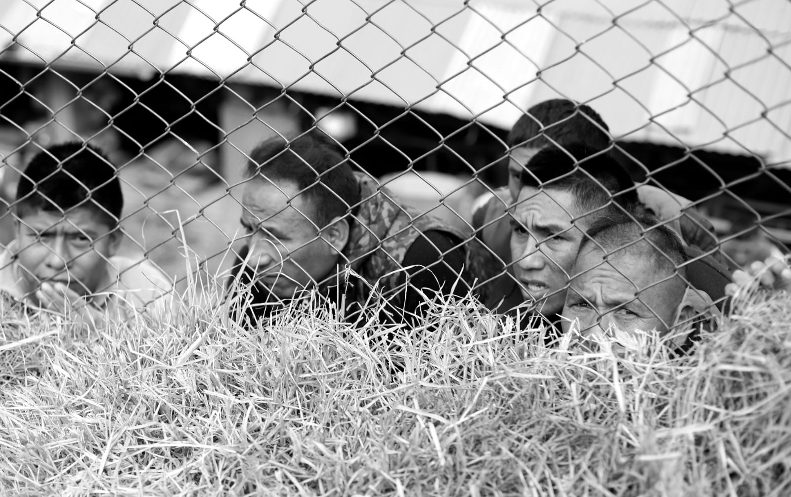 (Juan Sequeiros/Prensmart EC)