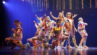 Muere acróbata veterano del Cirque du Soleil por caída durante show en Florida