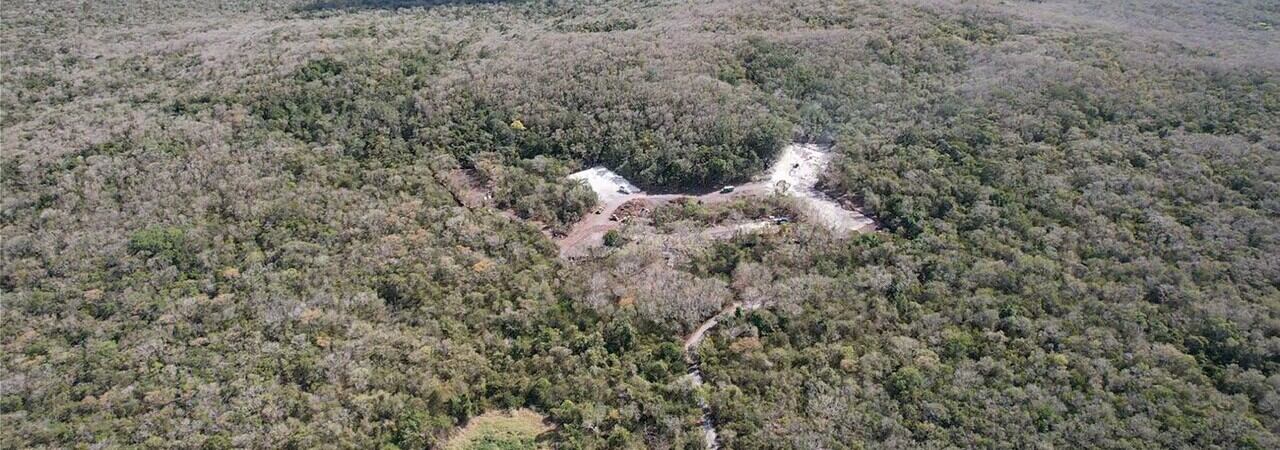 Construcción de un hotel en la Reserva de la Biósfera de Calakmul. Foto: cortesía de Ana Esther Ceceña.