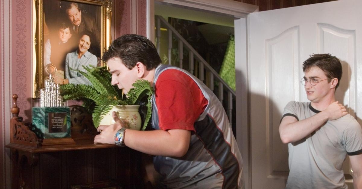 Harry Potter: el final original de Dudley Dursley, el primo de Harry (Foto: Warner Bros.)