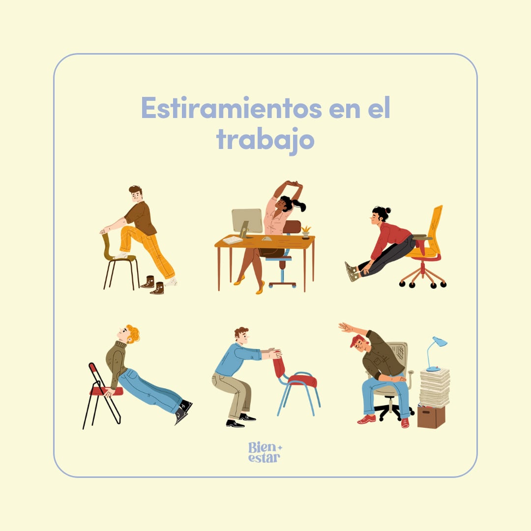 Realizar ejercicios de estiramiento durante el día laboral es crucial para cuidar la salud de la columna vertebral.