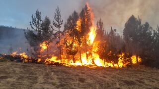 Incendios forestales afectan al menos siete regiones en simultáneo