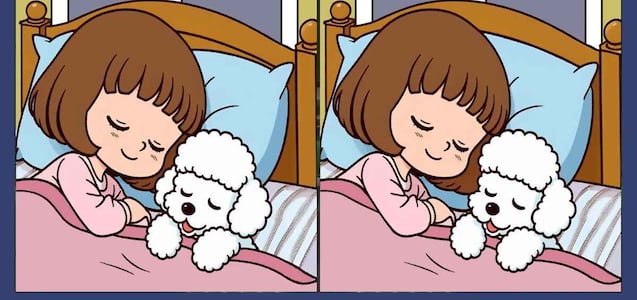 Encuentra las 3 diferencias entre la niña y el cachorro durmiendo en 45 segundos