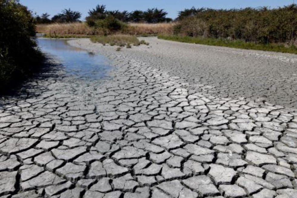 Emptying of the Amazon rivers could intensify between September and October, warns Senamhi. (Photo: Andina)