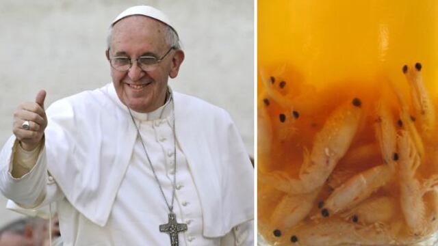 Las propiedades del krill, el secreto de la vitalidad del Papa Francisco