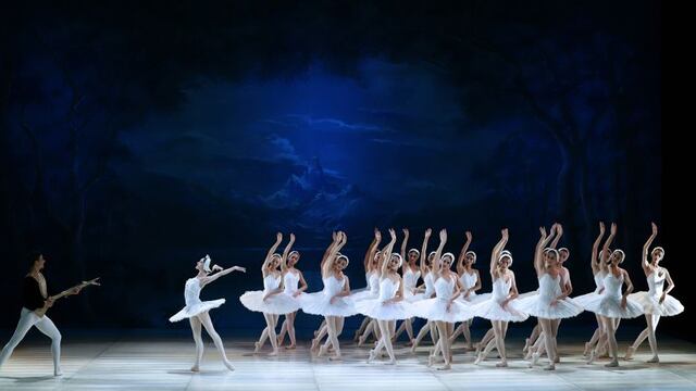 “El Lago de los Cisnes” regresa al TeatroMunicipal de Lima |FOTOS