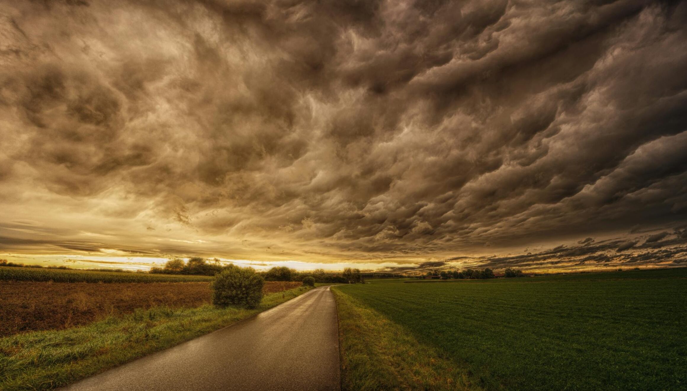 Texas y Louisiana son dos de los estados afectados por la tormenta Francine. Las autoridades han enviado alertas para evitar mayores consecuencias (Foto: Pexels)
