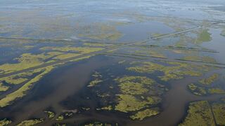 EE.UU.: La erosión que consume el pantanal del sur de Luisiana