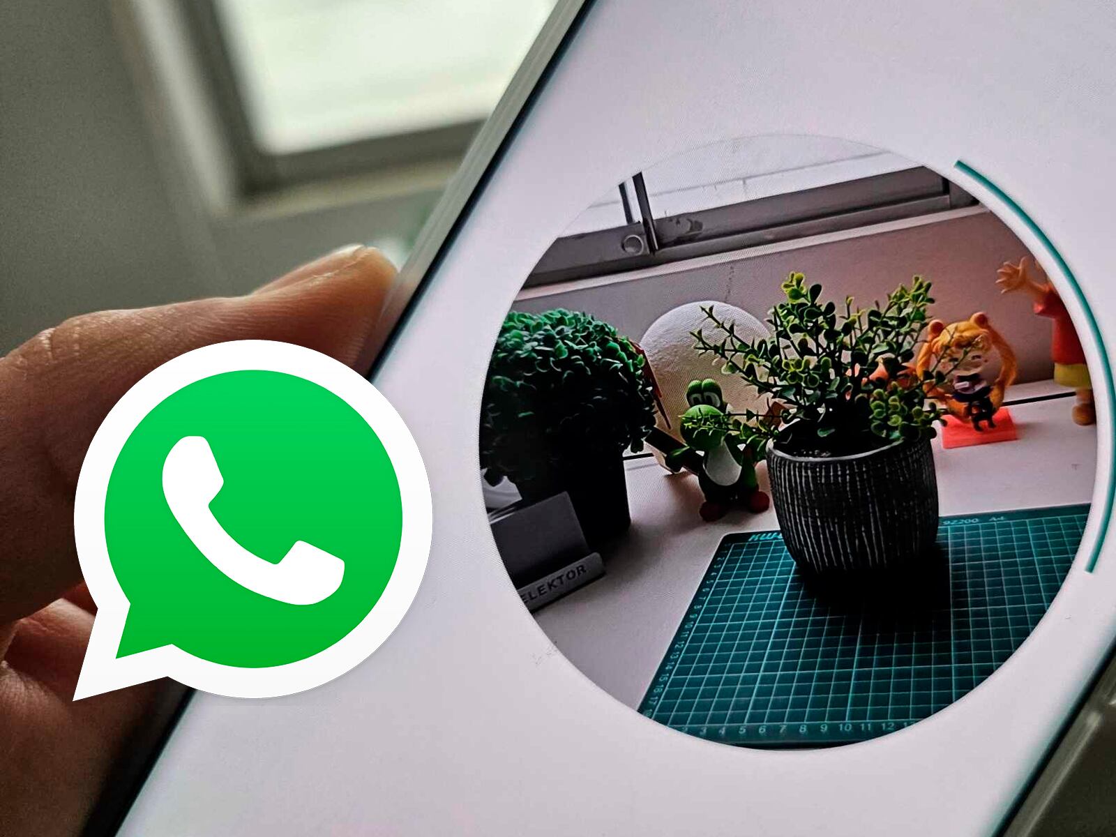 WHATSAPP | Se trata de una función básica que pocos usuarios conocen. (Foto: Mag)