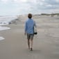 Misterio en Nueva Jersey: encuentran 29 tiburones muertos en una playa y los expertos ya tienen una posible explicación