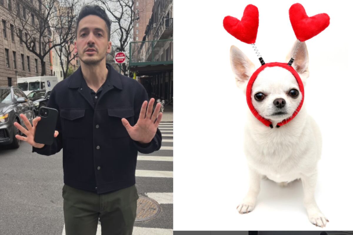 Trabajador de Google fue acusado de dar un puntapié a chihuahua en una calle de Nueva York y fue denunciado ante la policía. (Foto: Instagram/totemkitten).