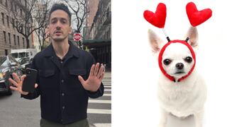 Pateó a un chihuahua en Nueva York y ahora corre el riesgo de perder su trabajo en Google