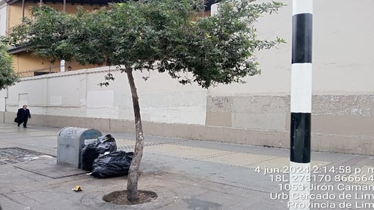 Av. Uruguay 453 (Frente a la Universidad Nacional Federico Villarreal).