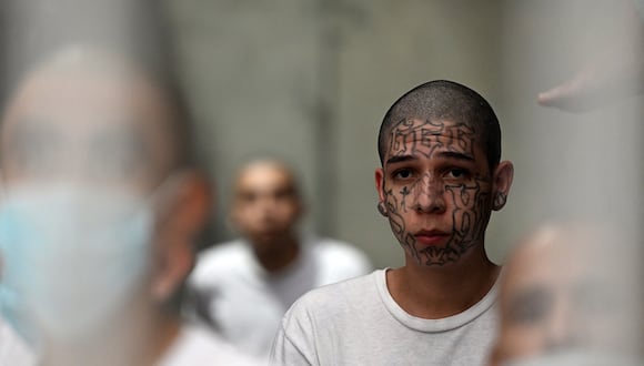 Reclusos dentro de una celda del megacentro de internamiento antiterrorista (CECOT), donde se encuentran recluidos cientos de integrantes de las pandillas MS-13 y 18, en Tecoluca, San Salvador, el 21 de agosto de 2023. (Foto de Marvin RECINOS / AFP)