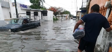 Noticias Patrocinadas