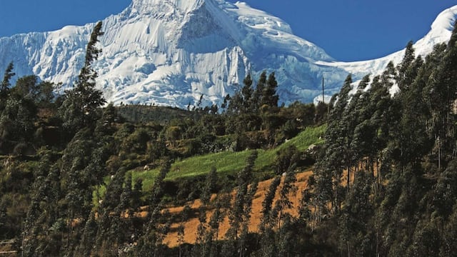 Huascarán: rescatistas particulares inician nueva búsqueda de los tres montañistas desaparecidos