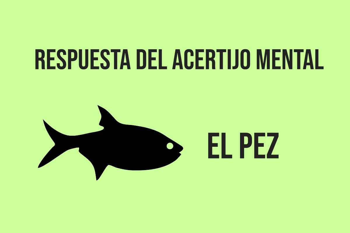 ¿Fue sencillo encontrar la respuesta del acertijo mental?. (Imagen: Mag)
