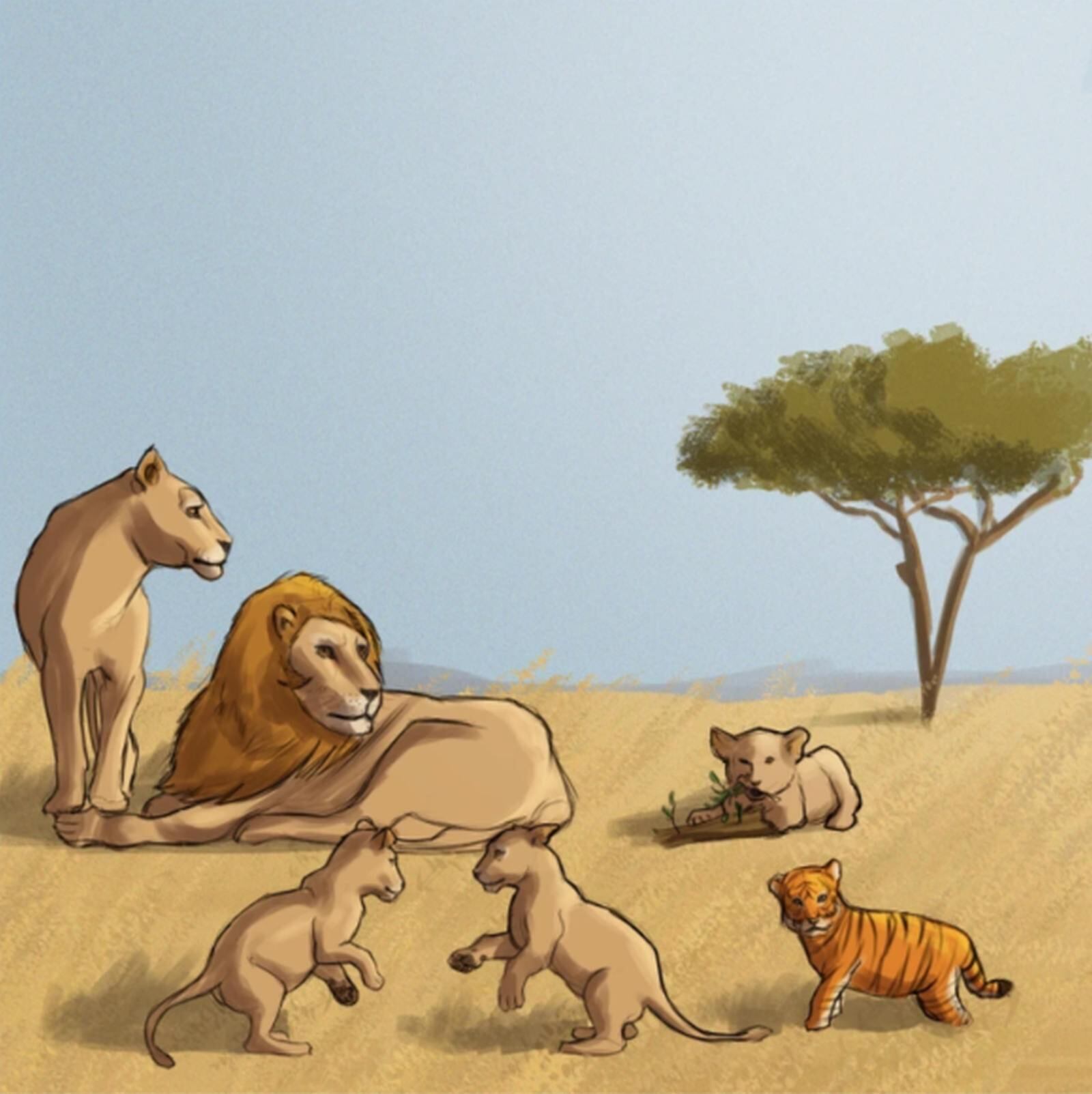 RETO VISUAL | Esta imagen, que te permite apreciar una familia de leones y un tigre, tiene errores. (Foto: genial.guru)