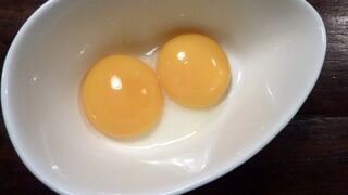 Aprende a congelar los huevos en siete pasos