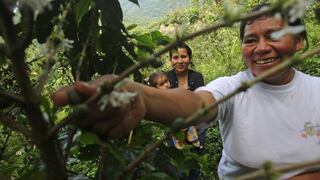 Buscan posicionar al Perú como productor de cafés especiales