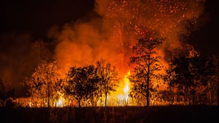 Según la ONU, los incendios forestales llegarán a donde nunca antes y aumentarán en 30 % para 2050