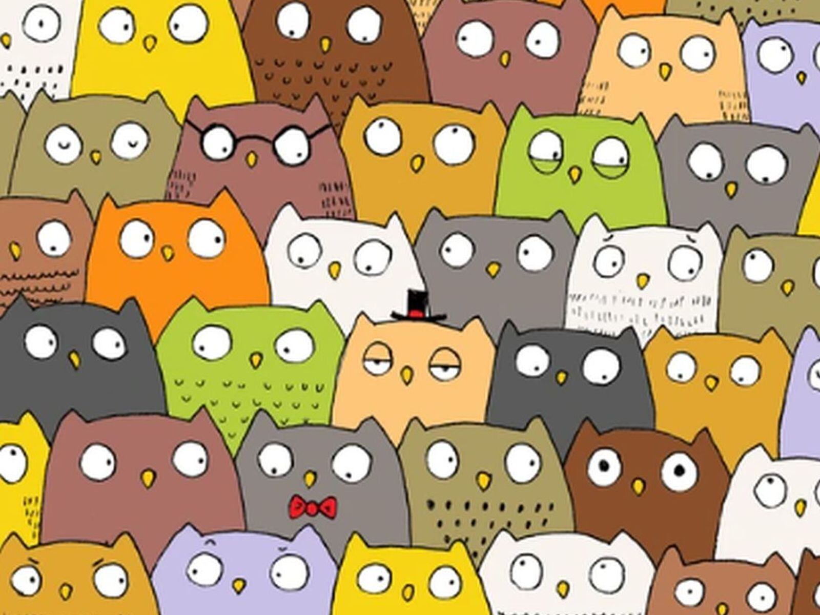 ACERTIJO VISUAL | En esta imagen se aprecian muchos búhos. Entre ellos hay un gato. (Foto: @thedudolf / Facebook)